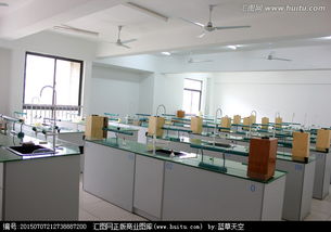 探索生命奥秘的非凡空间 惟物实验室的生物科学之旅