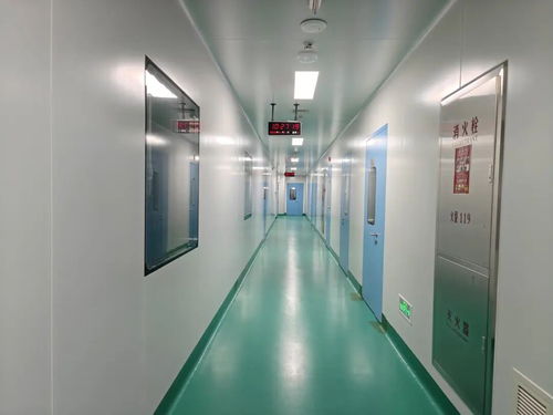 中原医学科学城动物实验室投用 惟物实验室开启生命科学研究新篇章