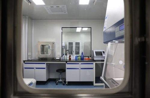 大竹县建成二级生物安全实验室，每日检测能力达200人份