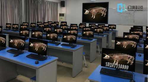 动物虚拟解剖系统 惟物实验室引领数字动物解剖学与实验课程改革