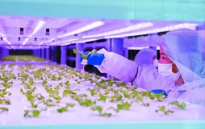 国内20家植物工厂大盘点 中科三安、京东等行业先锋引领未来农业